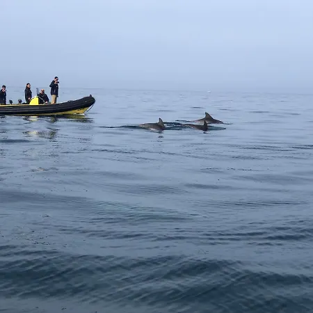 L' Albatros - 2 - 5 Personnes - Proximite De La Bréhal