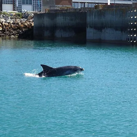 Gite L'Albatros - 400M De La Mer * Bréhal