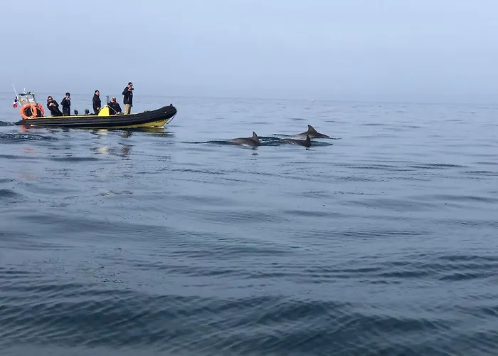 Gite L'Albatros - 400M De La Mer Bréhal