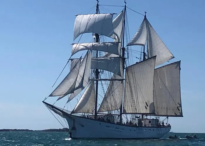 Gite L'Albatros - 400M De La Mer Διαμέρισμα Bréhal