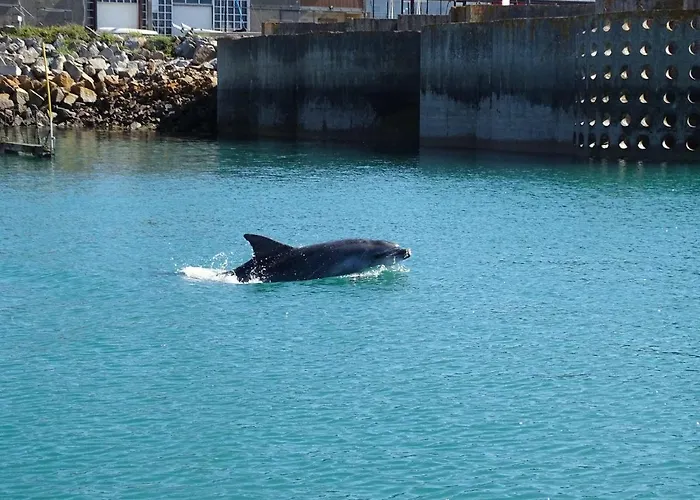 L' Albatros - 2 - 5 Personnes - Proximite De La * Bréhal